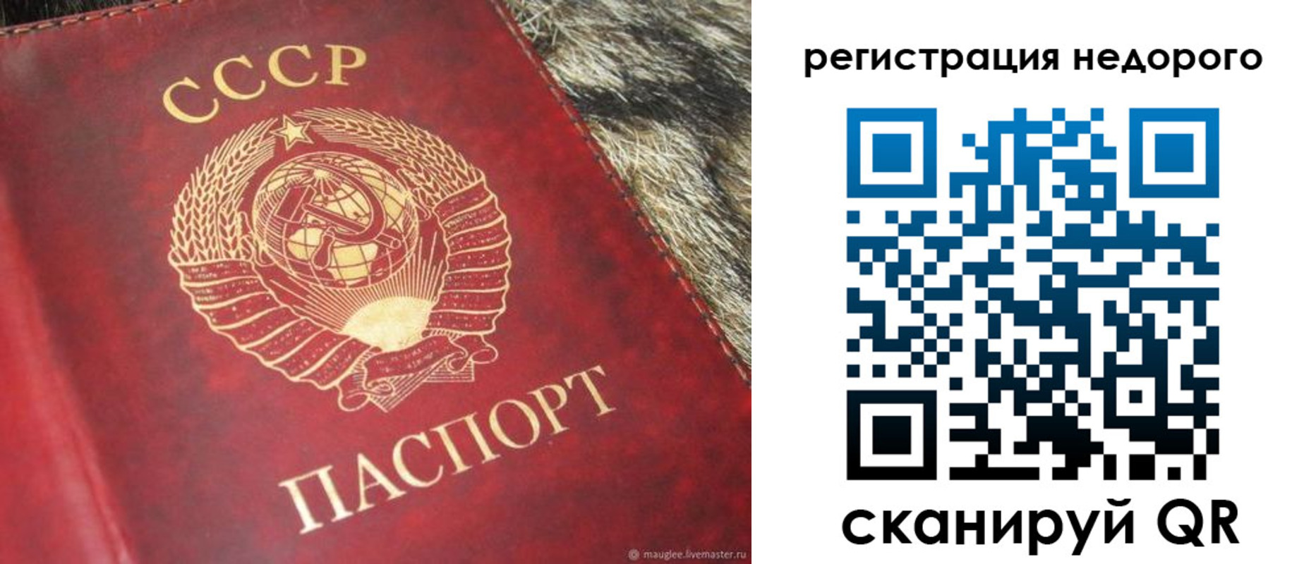 прописка ребенка в Смоленске